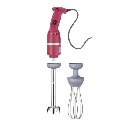 Tyčový mixér 250 - nastavitelná rychlost, HENDI, Profi Line, 230V/250W, ⌀75x(H)540mm | 224373